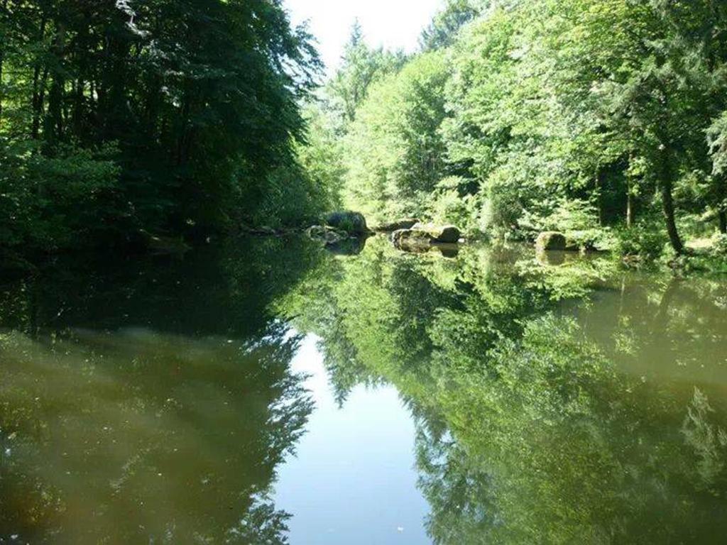 Moulin De Record Villa Ferrieres  ภายนอก รูปภาพ
